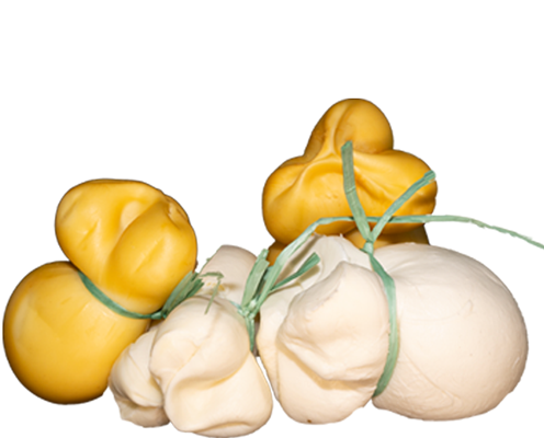 category Scamorza