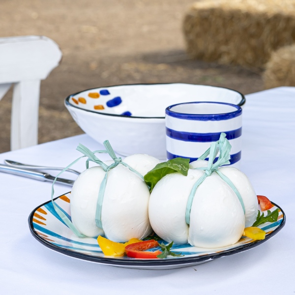 category MOZZARELLA